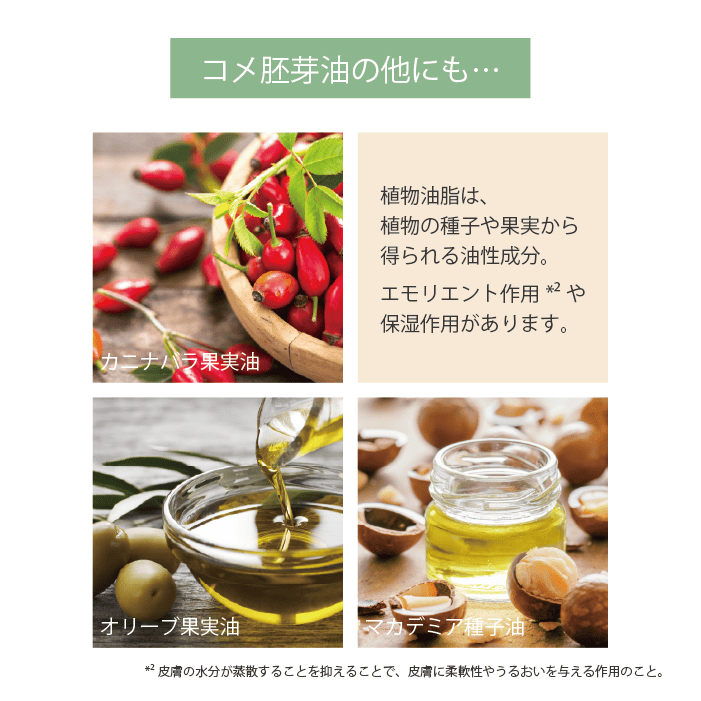 クレンジングオイル【400mL】 - AirPORULE | エアポルール公式 